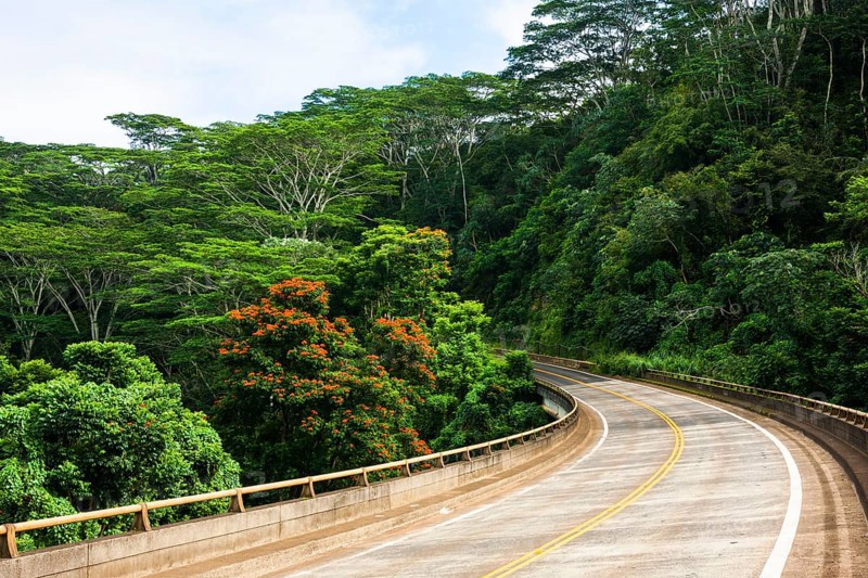 Road from Kilauea to Princeville