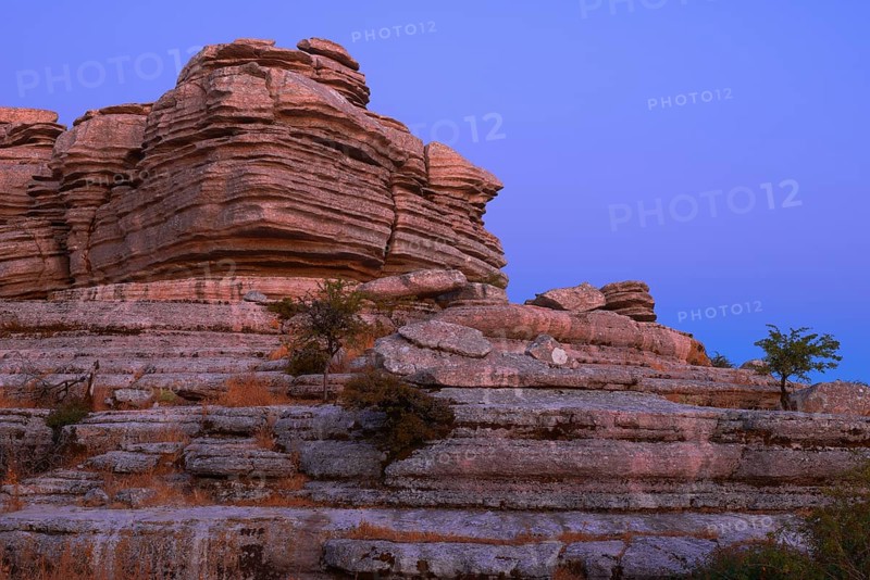 Limestone rocks