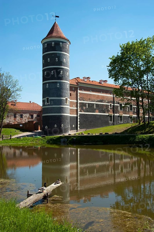 PanemunÄ— Castle