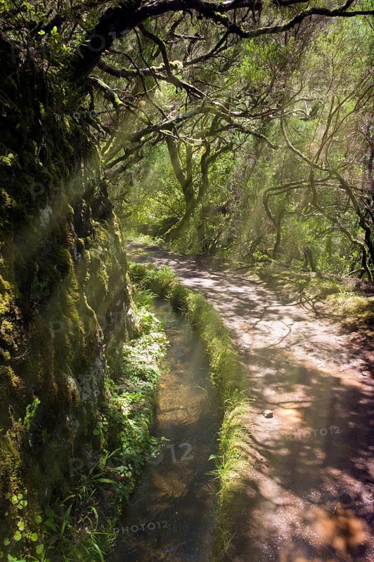 Levada das 25 Fontes