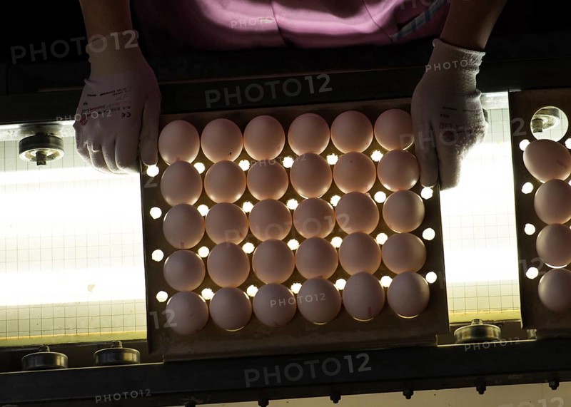 Worker during quality control of Easter eggs
