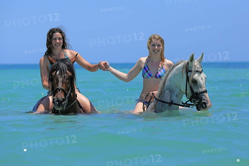 Two women wearing bikinis riding Barb horses in the sea