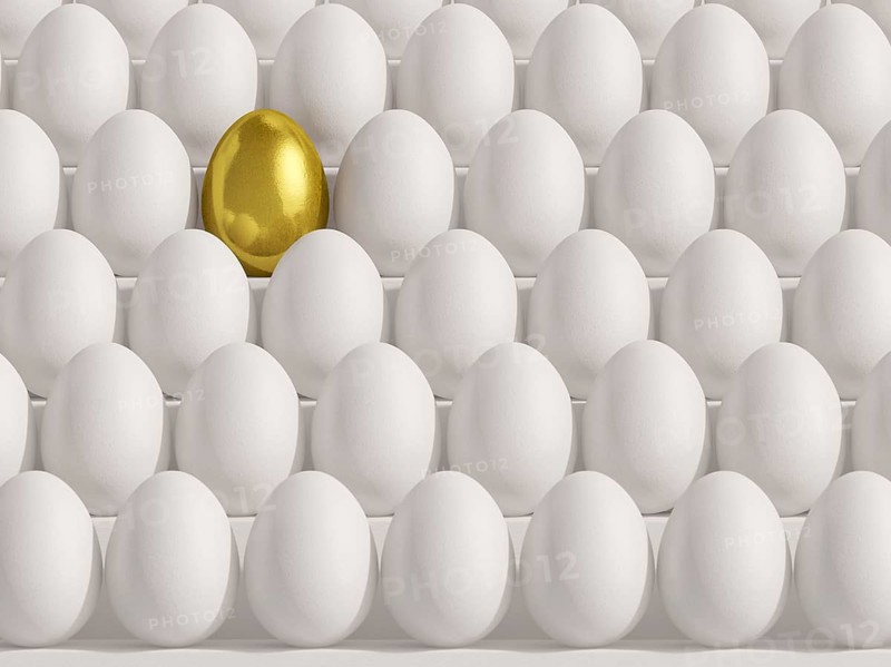 Golden egg amidst white eggs