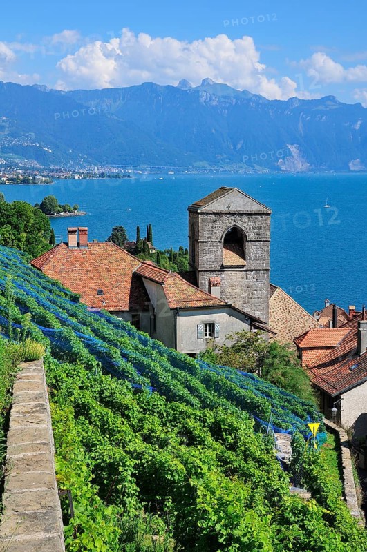 View over the wine-producing village and Lake Geneva towards Lausanne