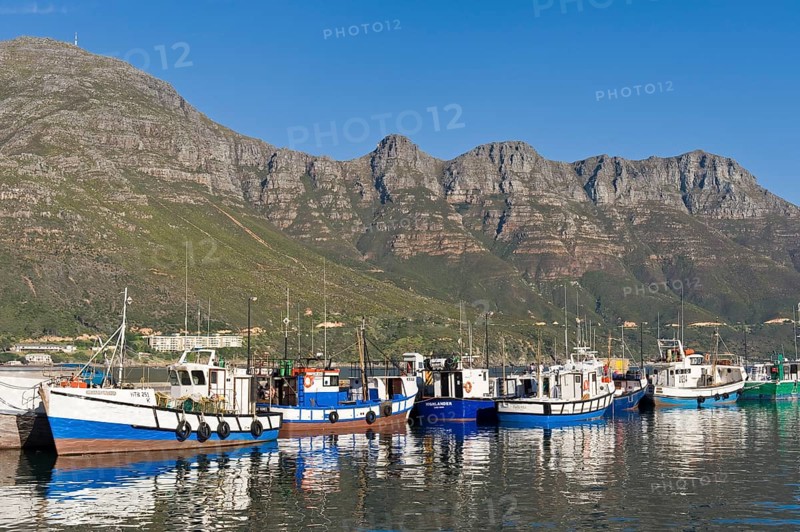 Fish trawlers in the harbor of Hout Bay