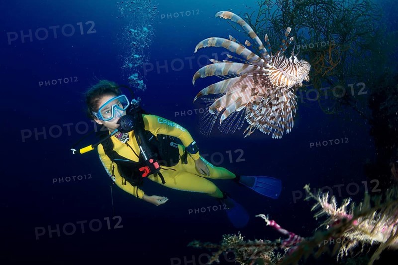 Scuba diver watching a Red Lionfish (Pterois volitans)