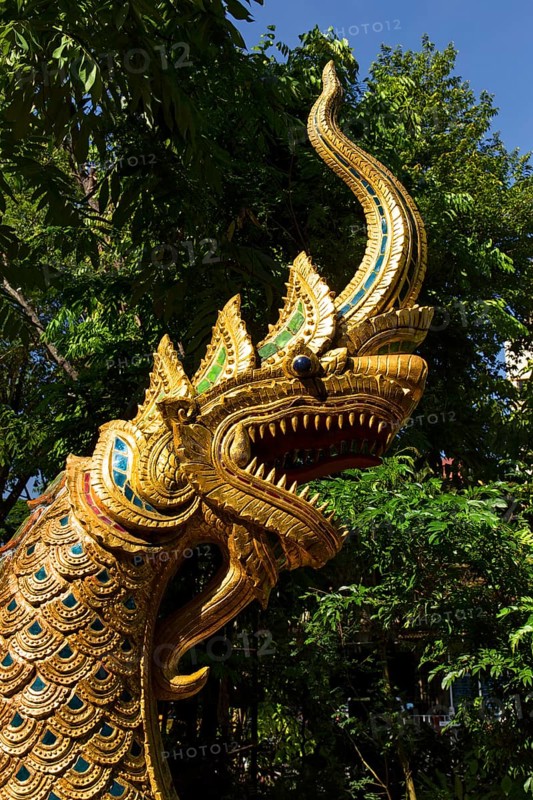 Gilded Naga figure at the entrance of Wat Phra Kaeo