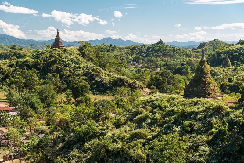 Pagodas amidst trees