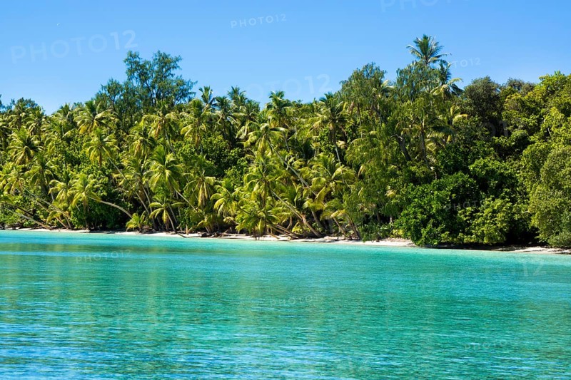Lagoon with a sandy beach and palm trees