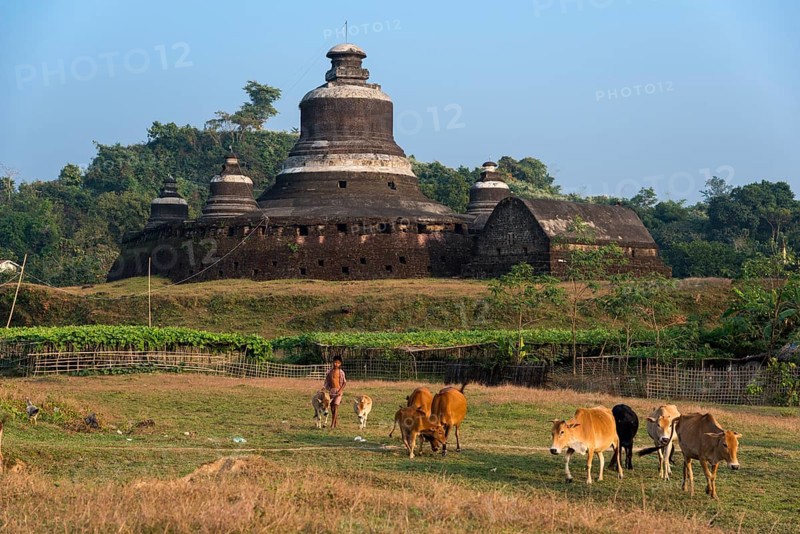 Young herdsman with cattle in front of Htukkanthein