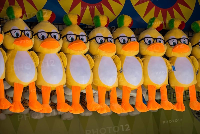 Cuddly toys