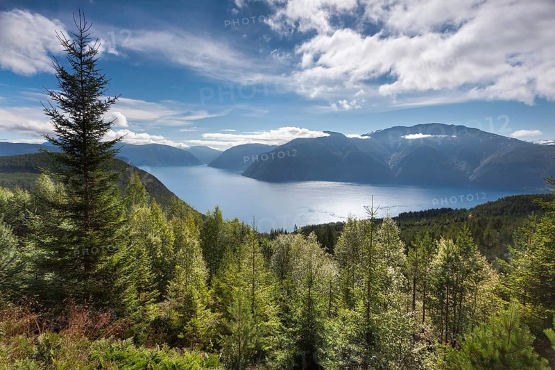 Sognefjord near Kaupanger
