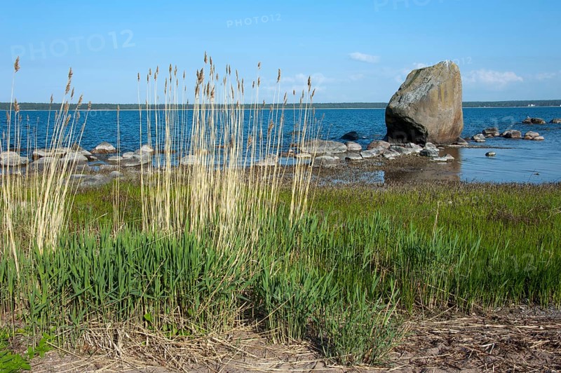 Coast near Kasmu