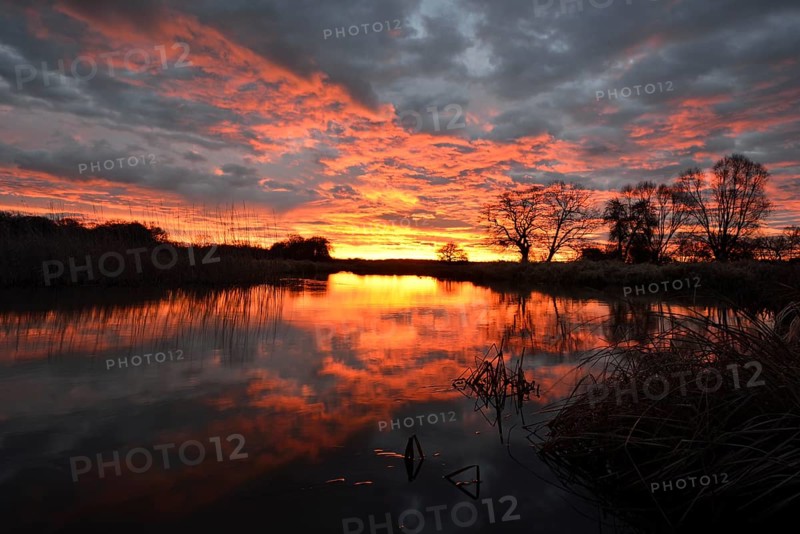 Sunrise over the Leiner See lake in the Middle Elbe Biosphere Reserve