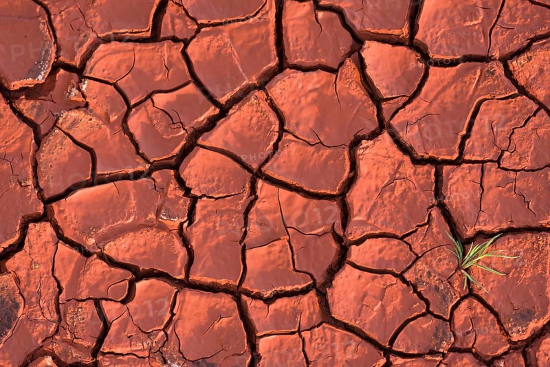 Cracked earth
