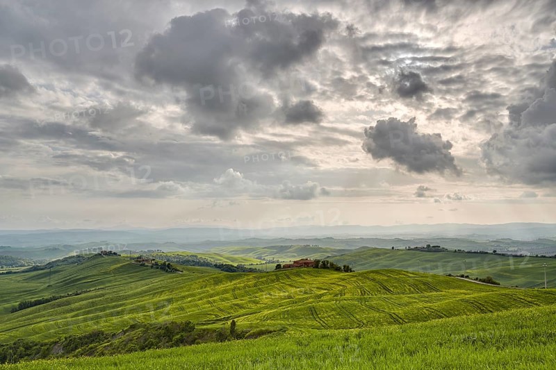 Hilly landscape of the Crete Senesi