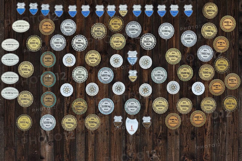 Award plaques for special milk production yields on a stable door