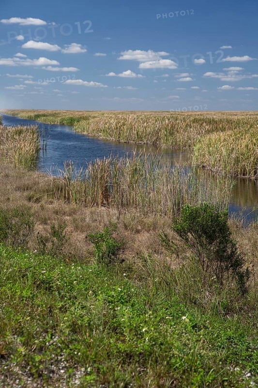 Stormwater Treatment Area 3-4