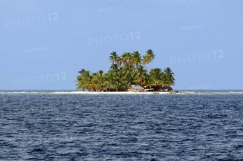 Lonely island with palm trees