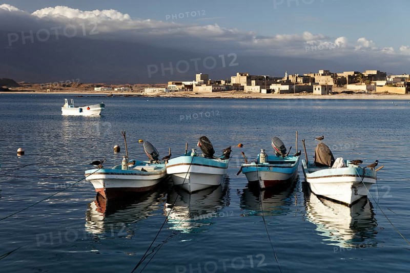 Fishing boats