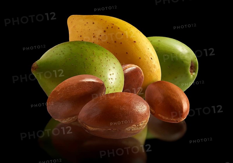 Fresh Argan nuts (Argania spinosa)
