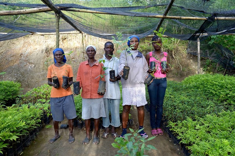 Women with seedlings in a nursery