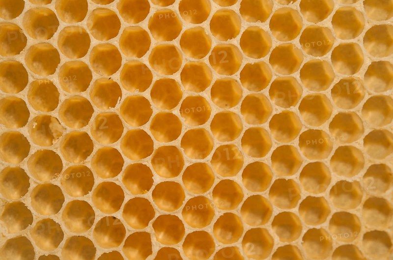 Honey combs