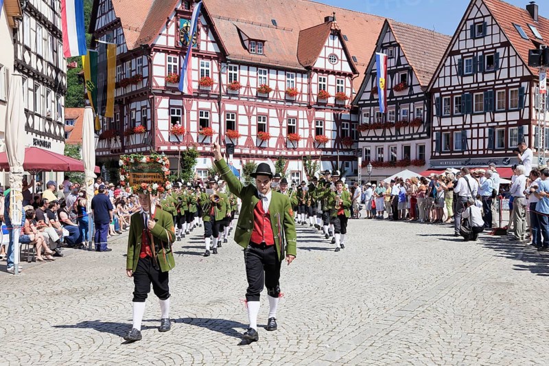 Historical parade