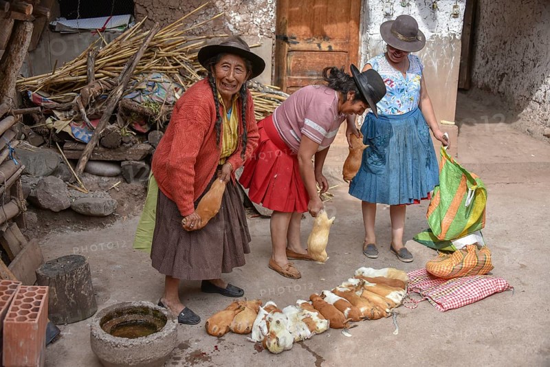 Local women kill Cuys