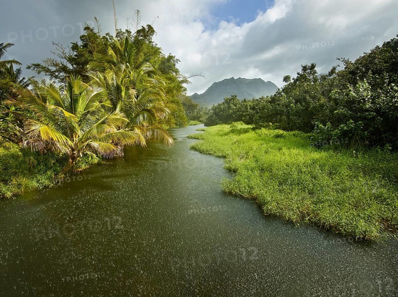 Stream with rain and sun