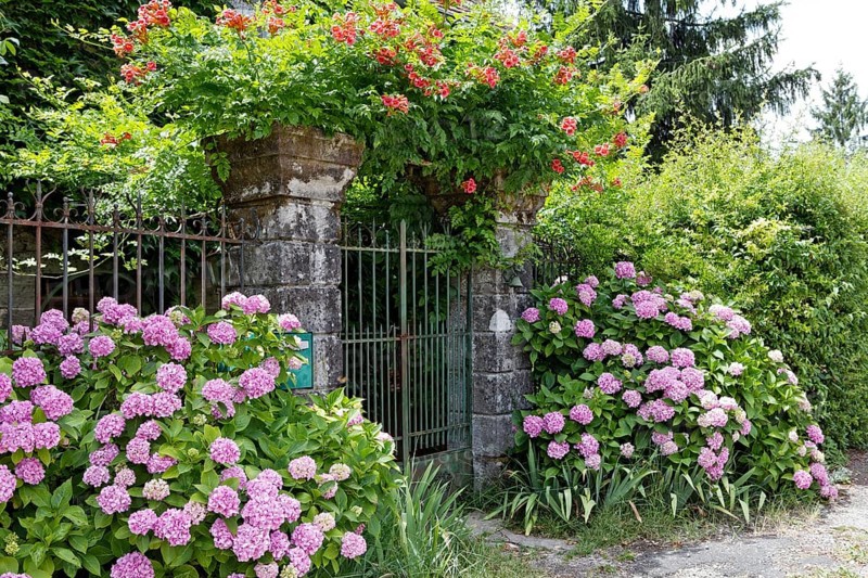 Gate with flowers