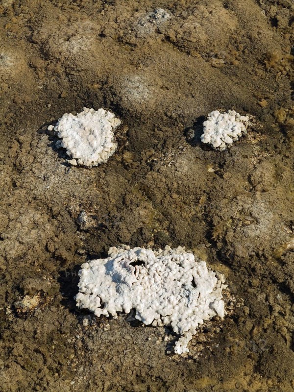 Salt deposits in a shallow pool