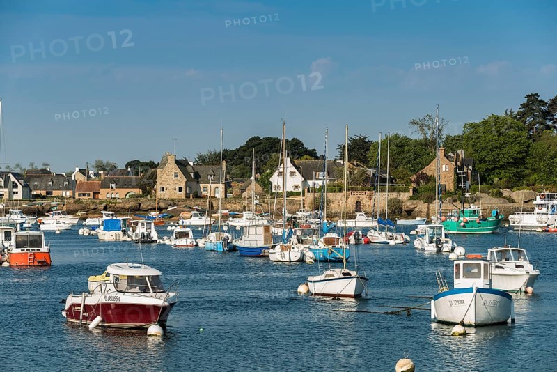 Harbour