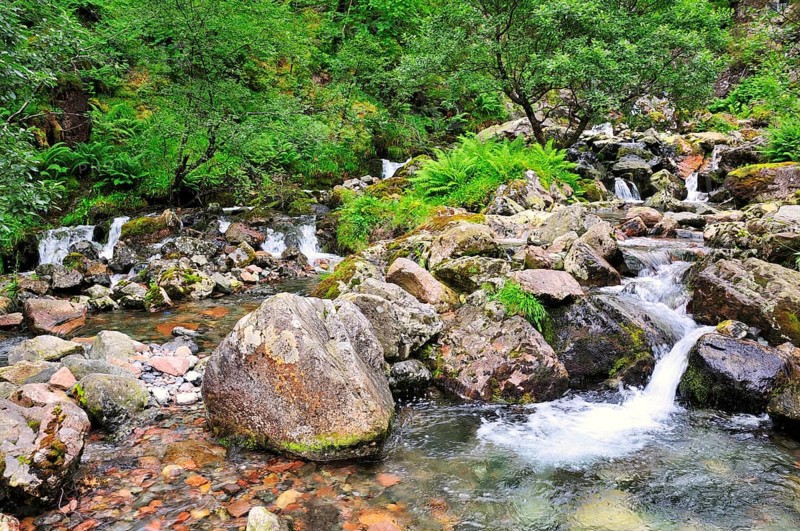 Mountain stream in the Three Sisters