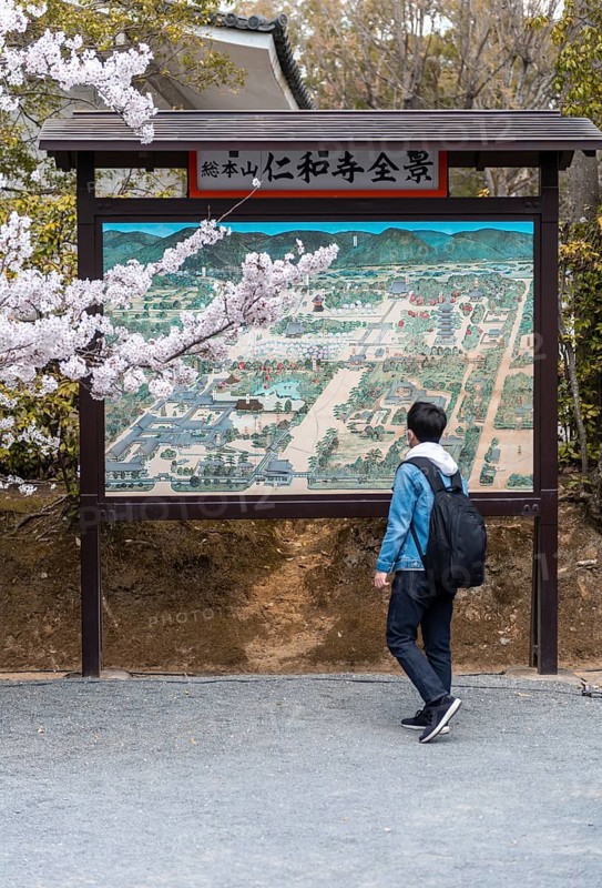 Tourist in front of an information board with map of the Ninna-ji temple complex