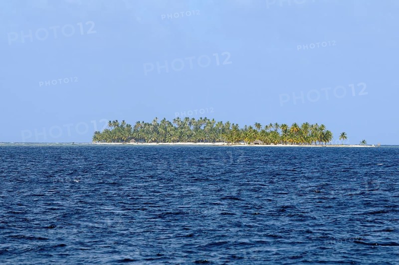 Lonely island with palm trees