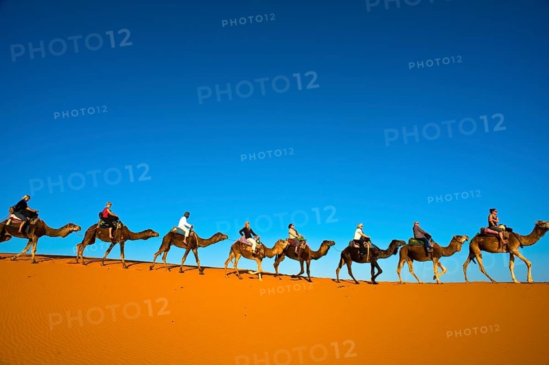 Tourists riding camels on the sand dunes of Erg Chebbi