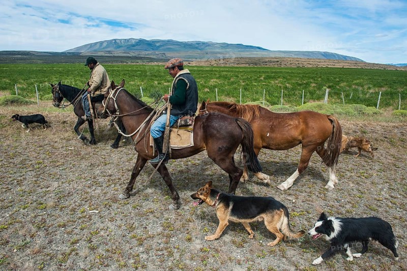 Gauchos riding in the Torres del Paine National Park