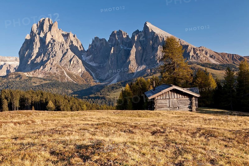 Alpe di Siusi mountain pasture
