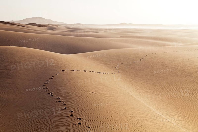 Tracks of a single hiker in the sand of the dunes on Praia de Chaves Beach