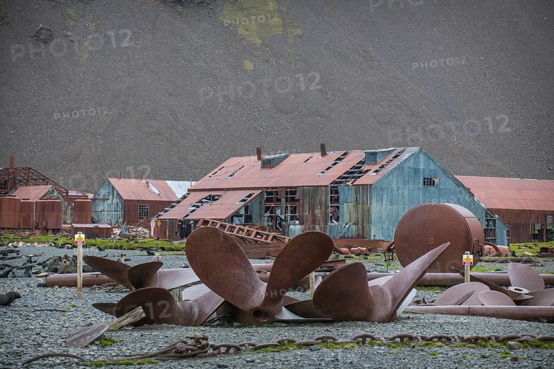 Huge old ships' propellors lying between the houses of the former Stromness whaling station