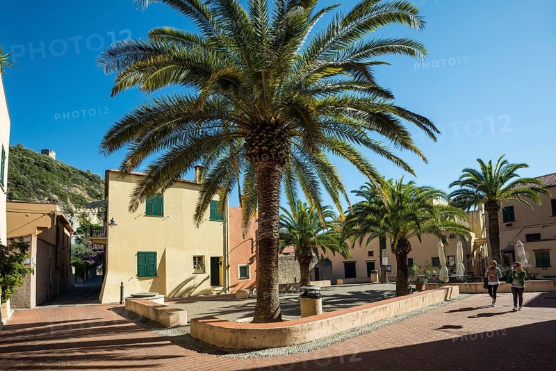 Square with palm trees