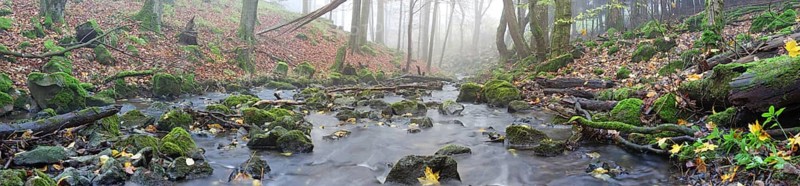 Stream with moss-covered basalt stones and fallen tree trunks