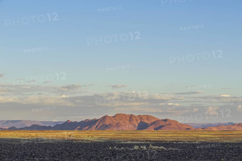 Landscape of the Namib Desert