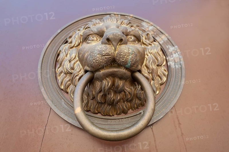 Lion head door knocker on a door of a house