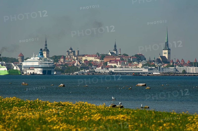 City panorama