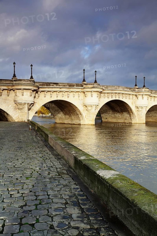 Bridge Pont Neuf
