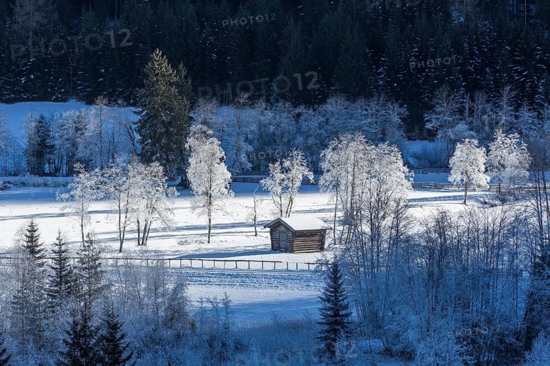 Trees covered in hoarfrost in Gschnitztal Valley