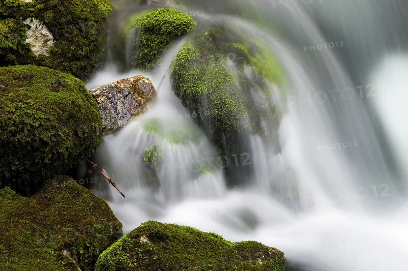 Brook with moss-covered stones