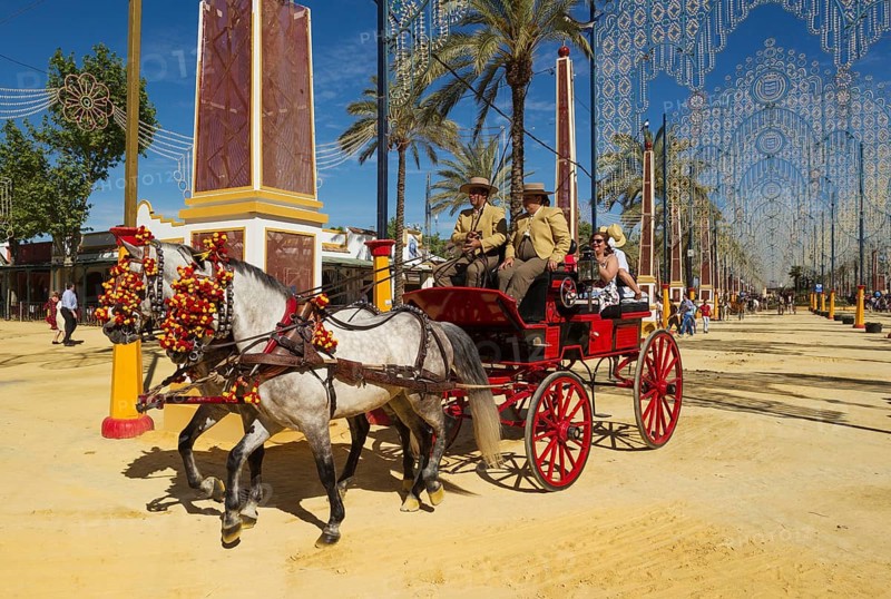 Decorated horses and dressed up coachmen at the Feria del Caballo Horse Fair
